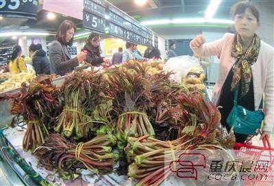 超市、农贸市场随处都能见到椿芽的身影，它是重庆主城春天市民餐桌上最受欢迎的野菜之一。重庆晨报记者 杨新宇 摄